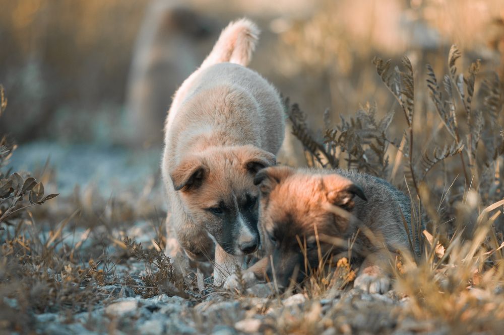Photograph by Вячеслав Болякин