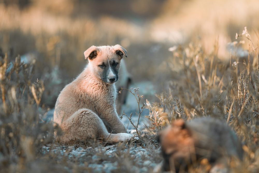 Photograph by Вячеслав Болякин