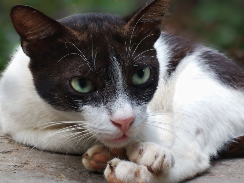 Photograph by SIVAPRASAD K A