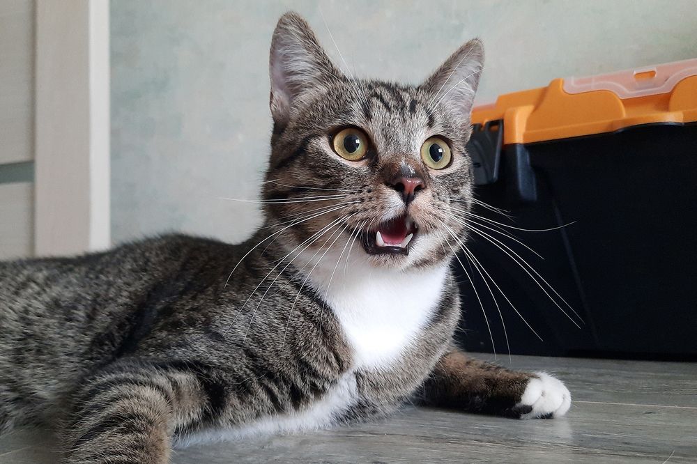 Photograph by Михаил Рассказ