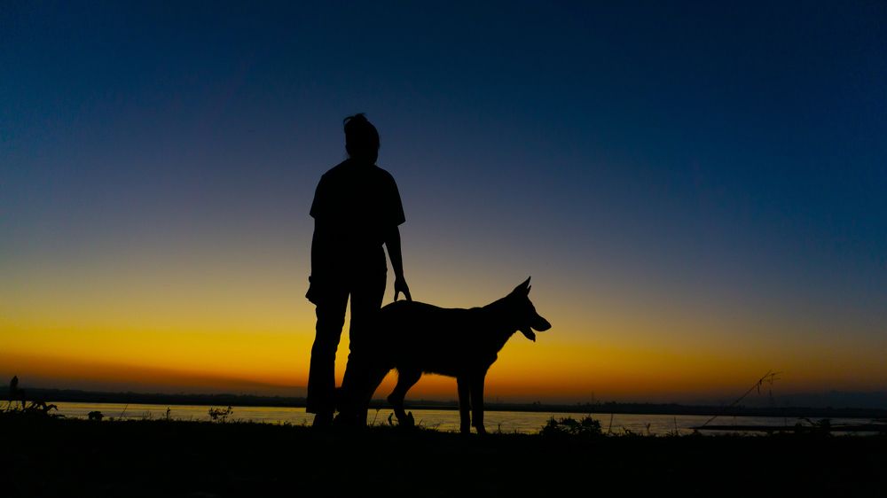 Фотография автора AD Ajay