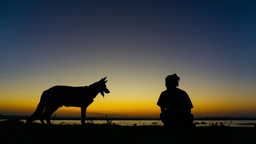 Фотография автора AD Ajay