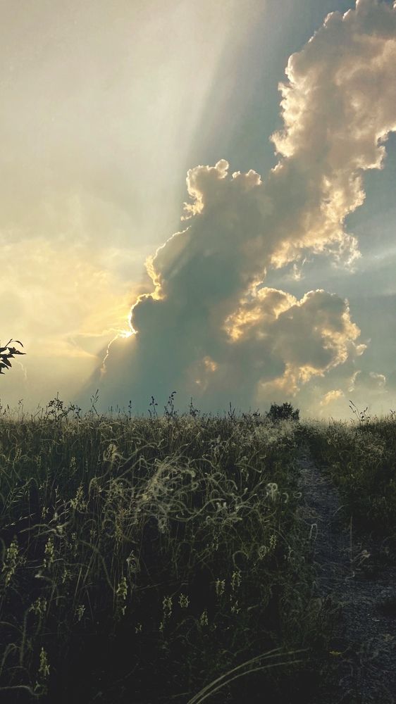 Photograph by Елена Гарибян