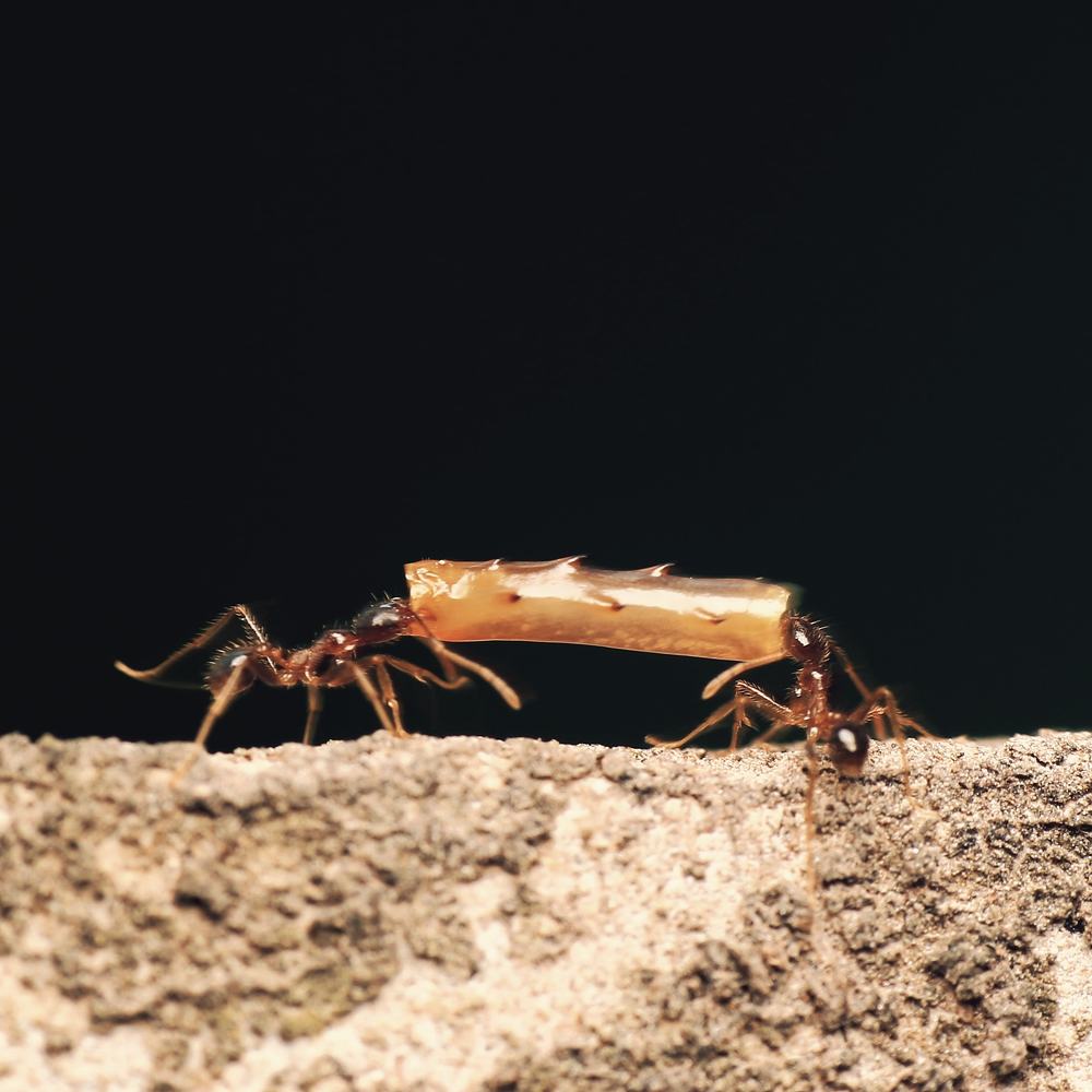 Photograph by Bayu Aji Nugroho