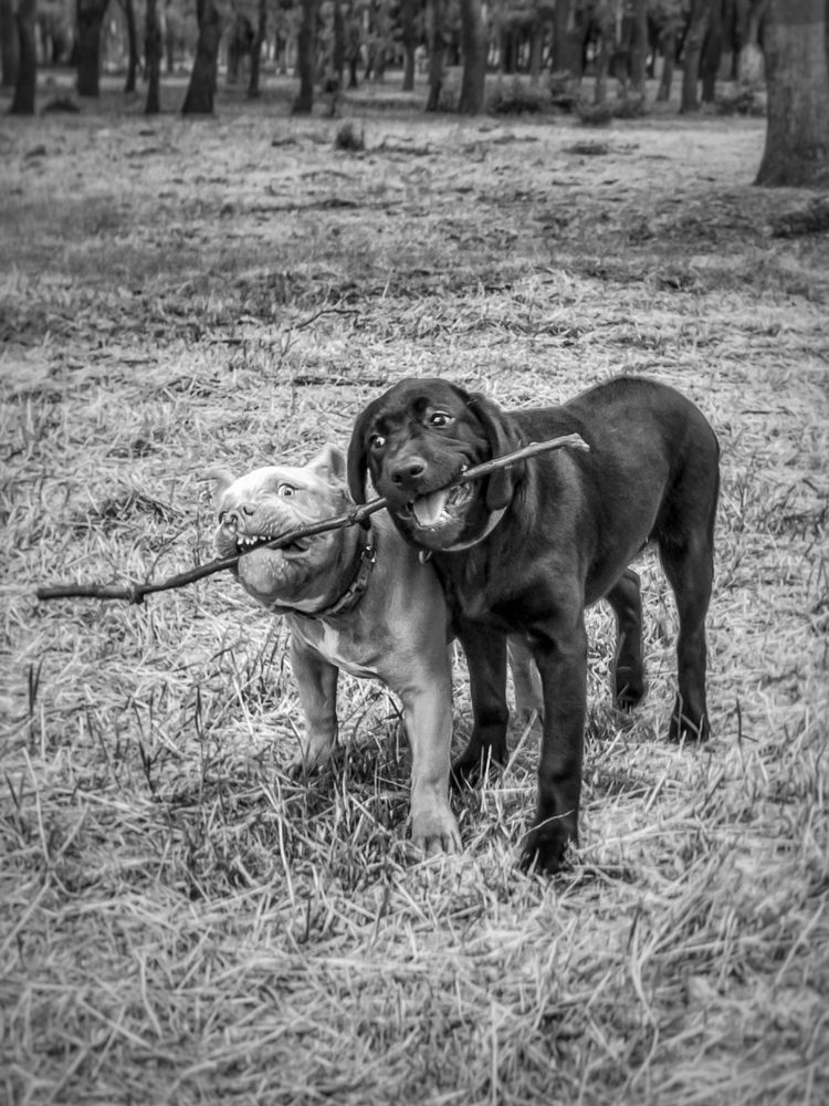 Photograph by Лариса Когтева