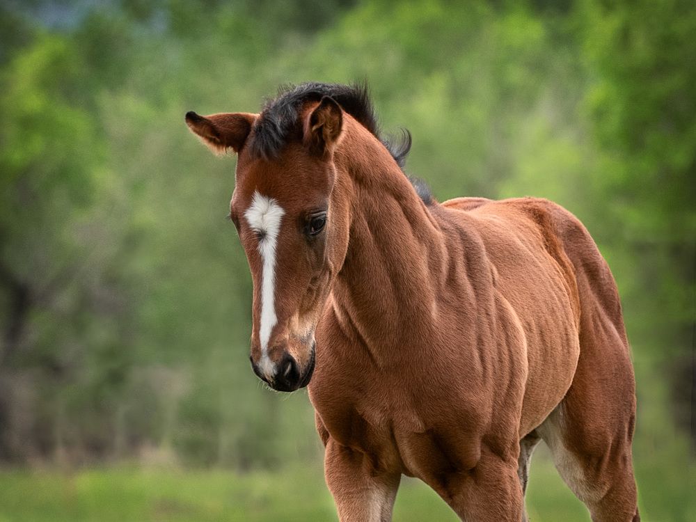 Photograph by Нина Дорожинская