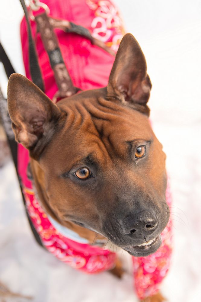 Photograph by Светлана Бевза