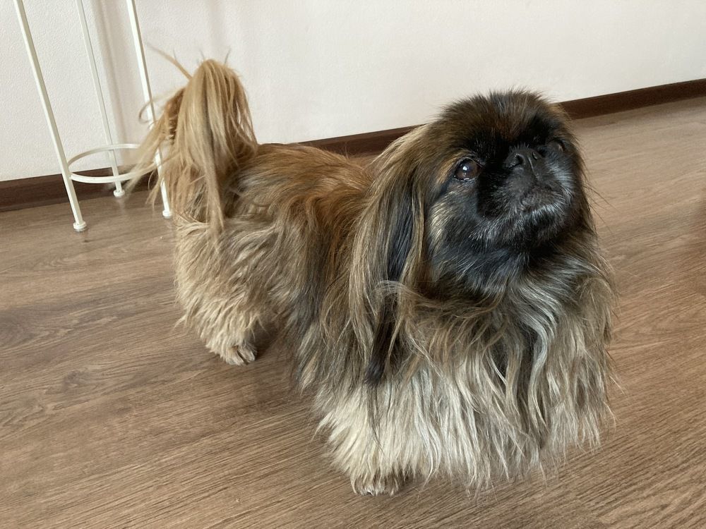 Photograph by Александр Феоктистов