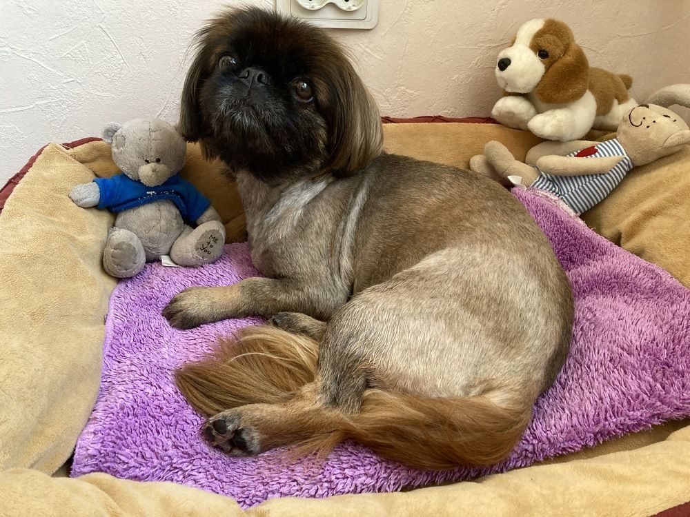 Photograph by Александр Феоктистов