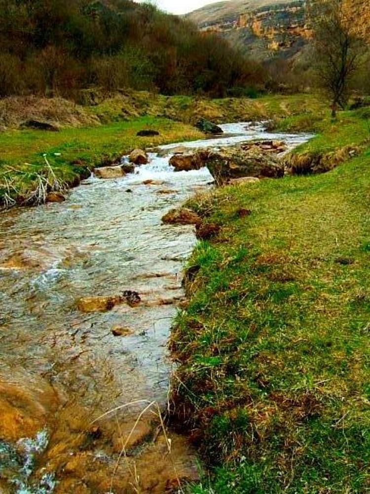 Photograph by Евгений Бригиневич - Снежин