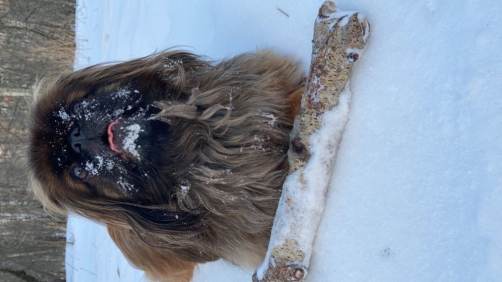 Photograph by Александр Феоктистов