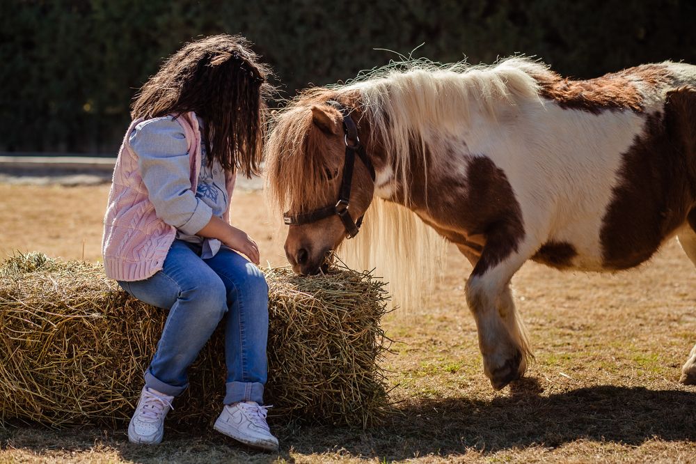 Photograph by Ирина Эрон