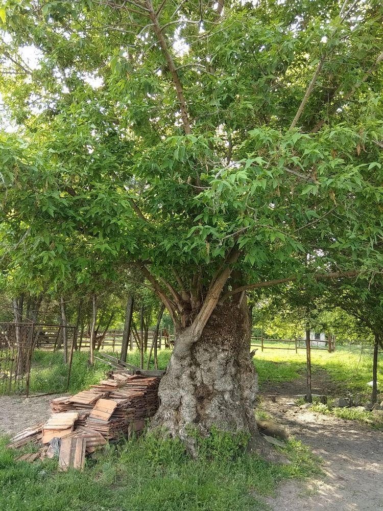 Фотография автора Marina Antonova