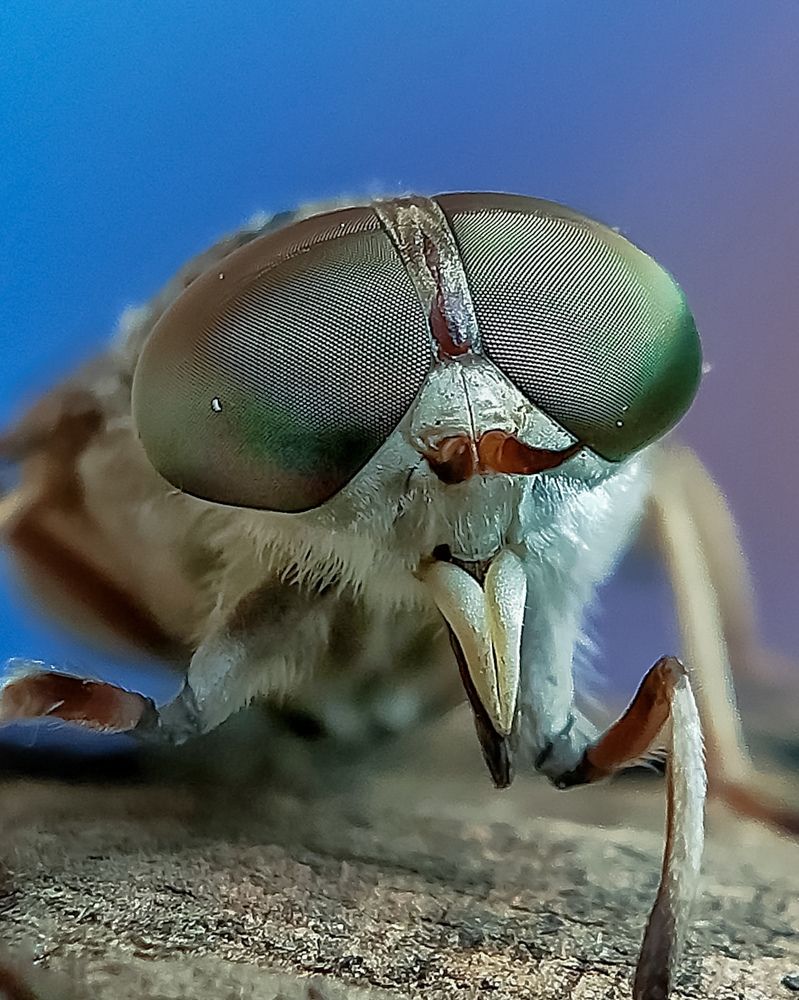 Photograph by UDAY SHANKAR RAKSHIT