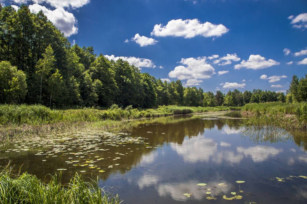 Река Случь -2