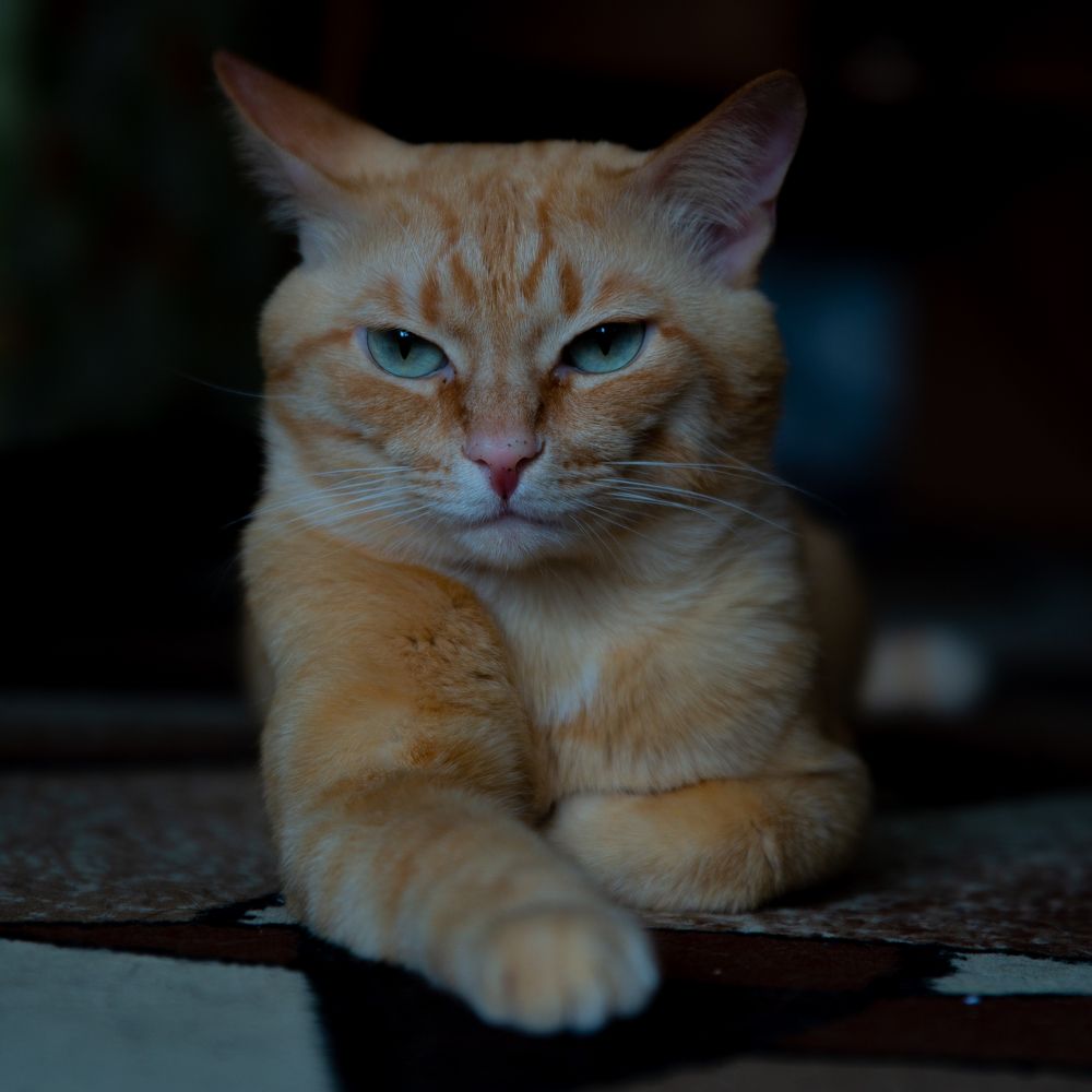Photograph by Ростислав Титов