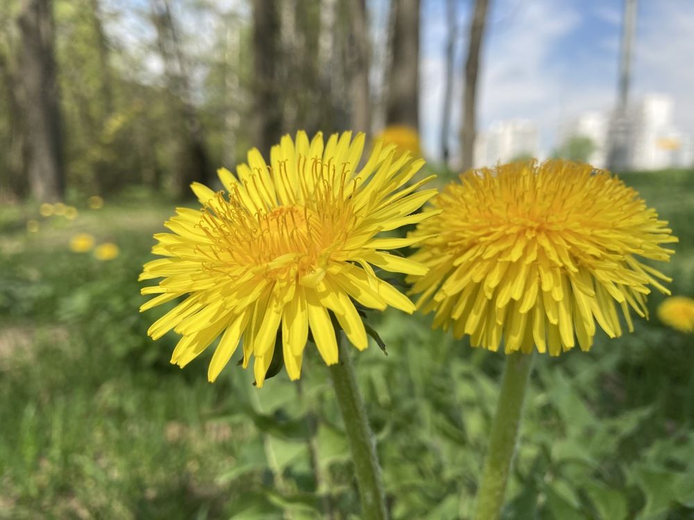 Photograph by Александр Феоктистов