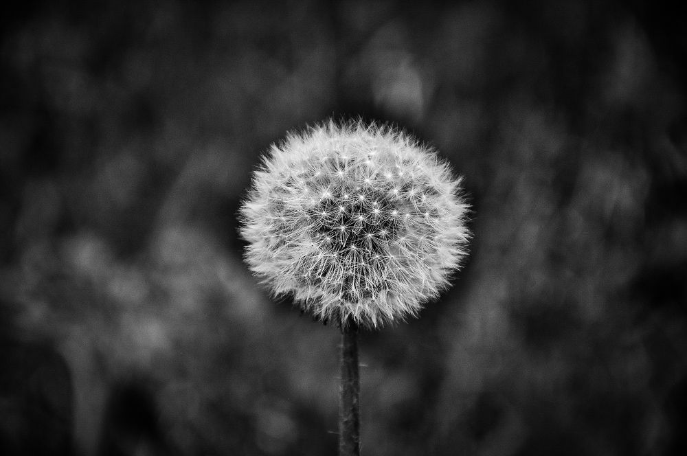 Photograph by Katarina Spaskovski