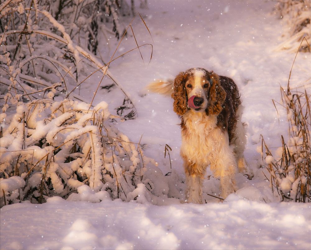 Photograph by Liudmila Drake