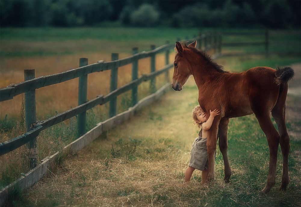 Фотография автора алексей брест