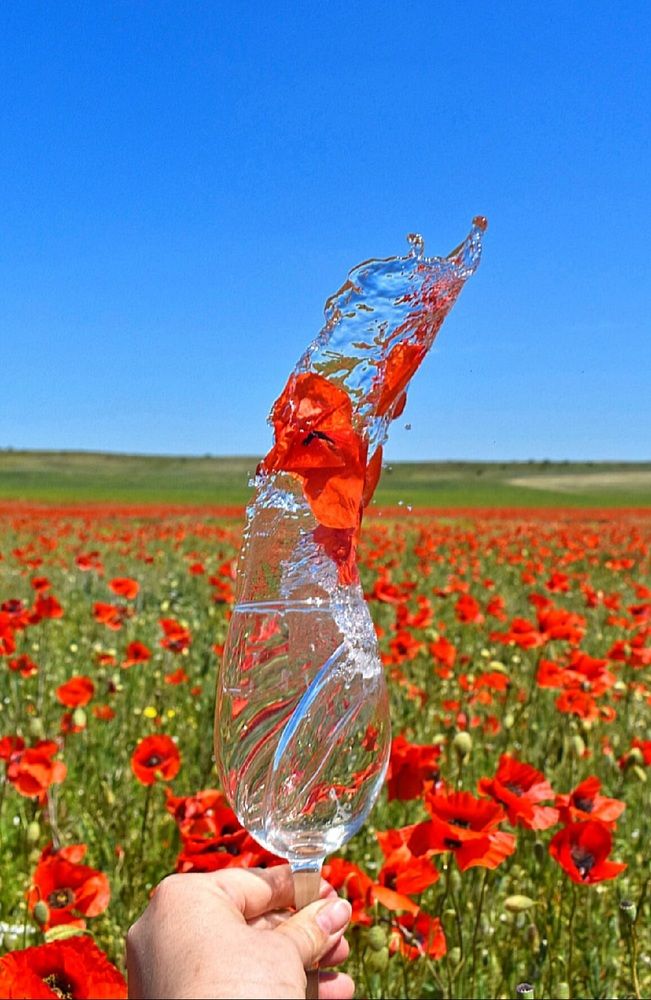 Photograph by Екатерина Гордеева