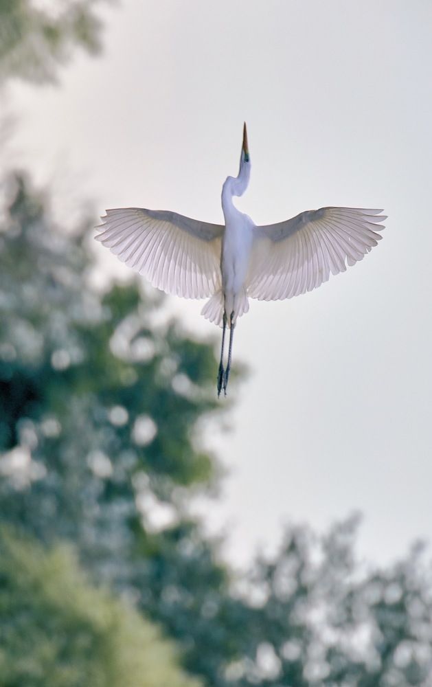 Photograph by Игорь Поддубный