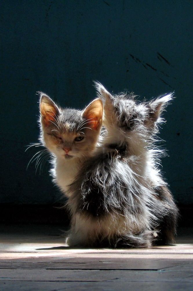 Фотография автора Александр Челмодеев