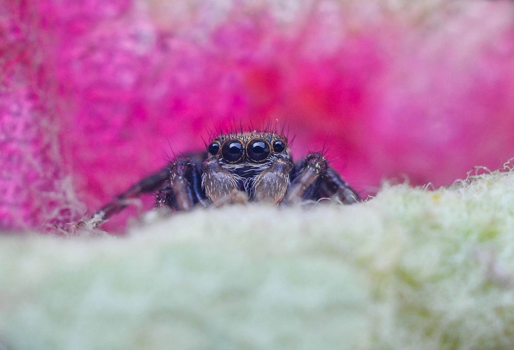 Photograph by Олеся zme