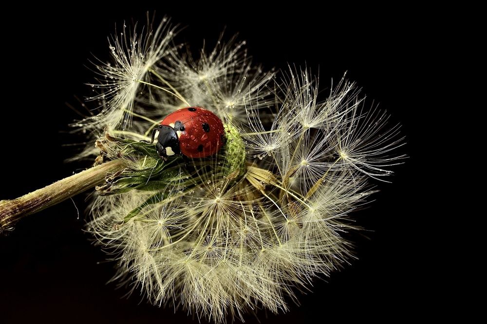 Photograph by Роман Турсков