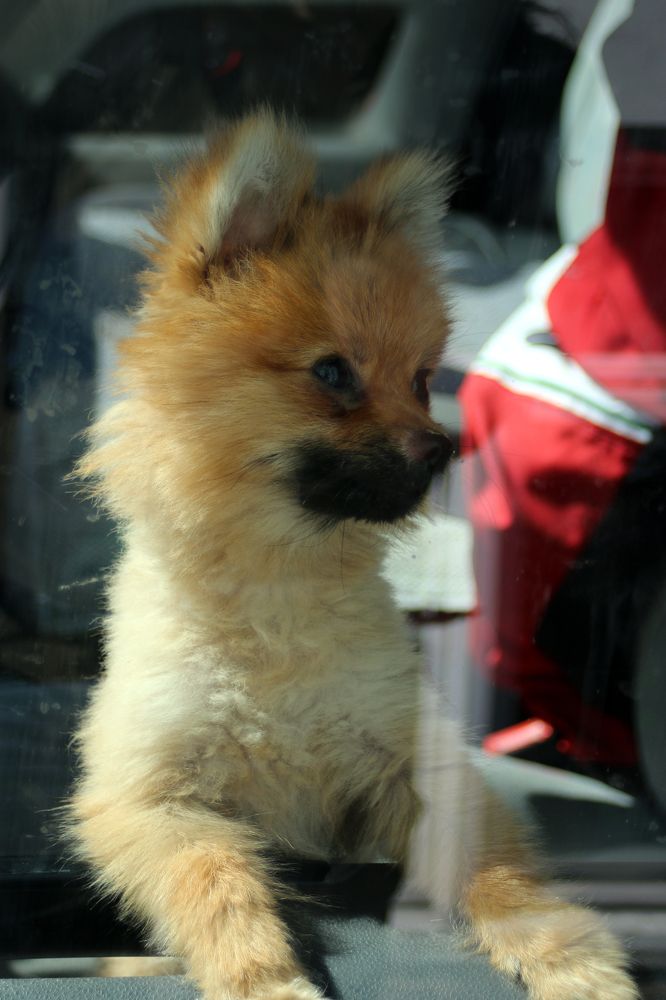 Photograph by Dinel Teodorescu