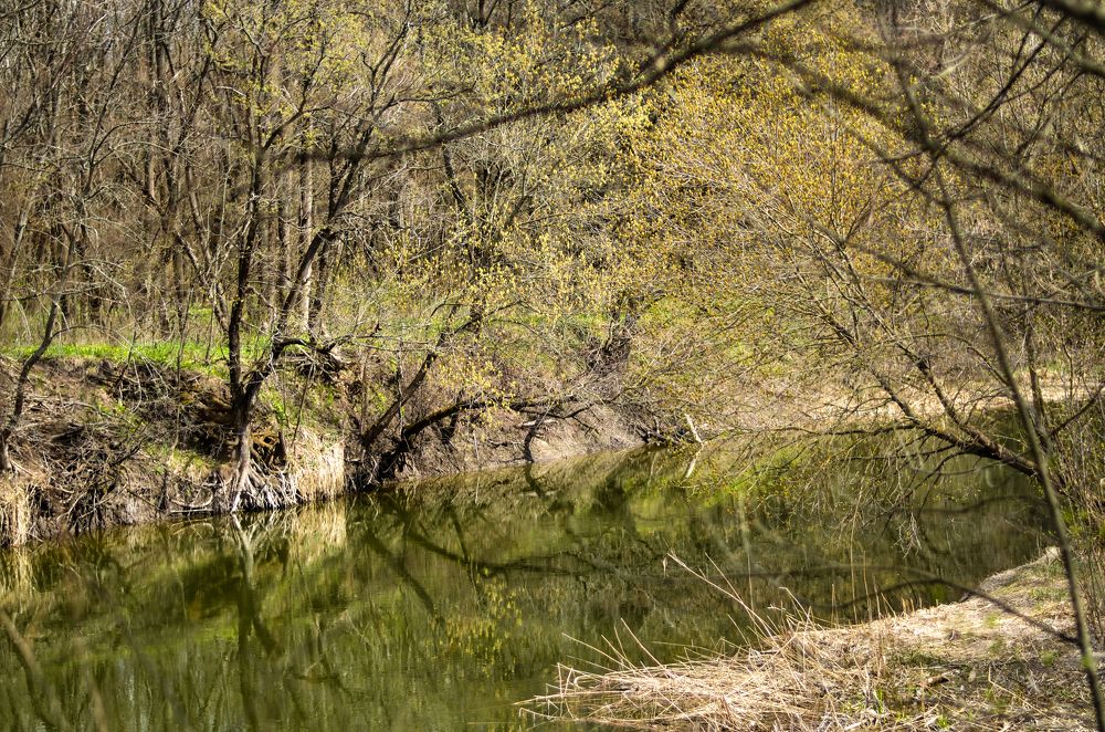 Photograph by Inna Logvinova