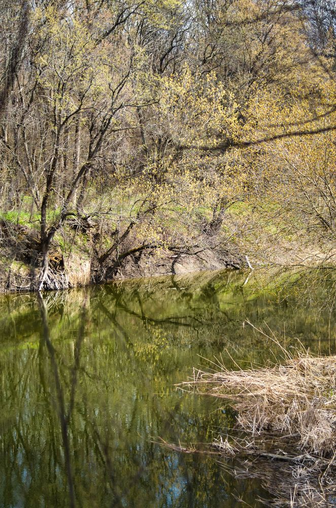 Photograph by Inna Logvinova