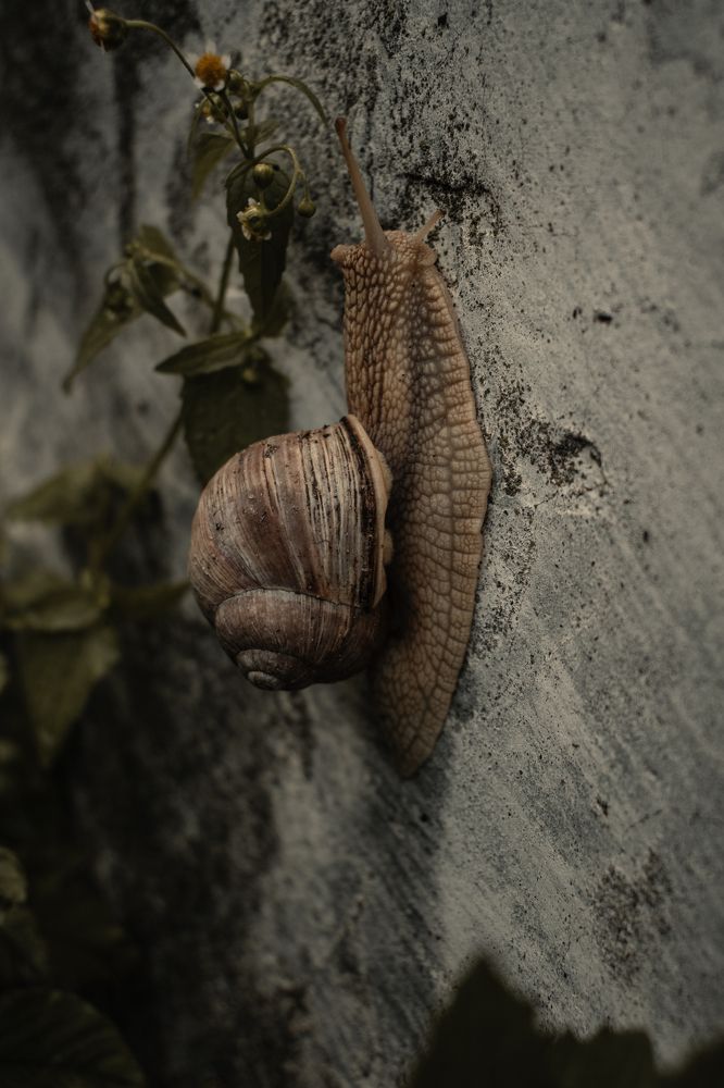 Photograph by Nikita Kiyov