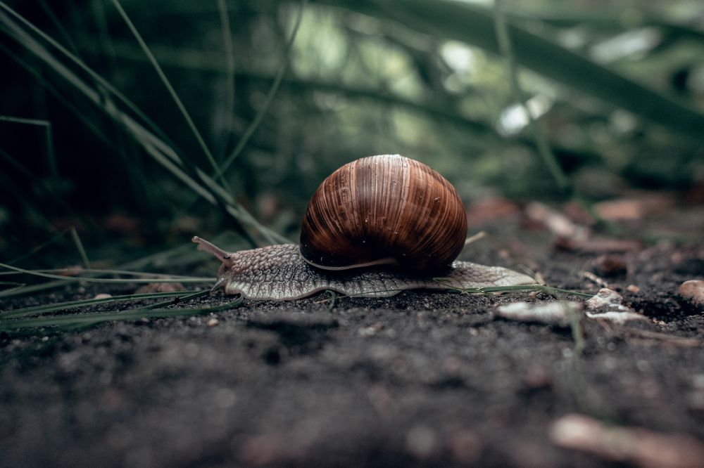 Photograph by Nikita Kiyov
