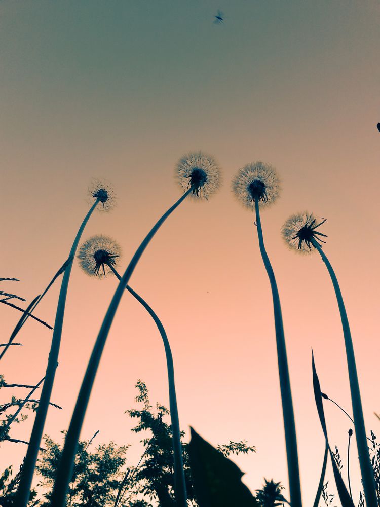 Photograph by Оксана Хабарова