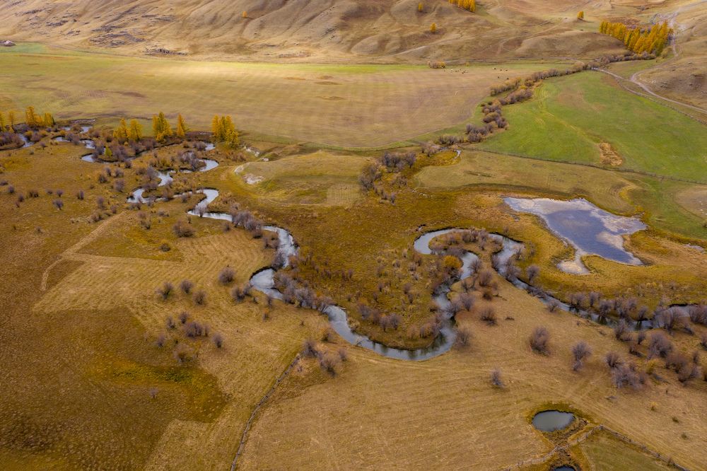 Photograph by Баландин Дмитрий