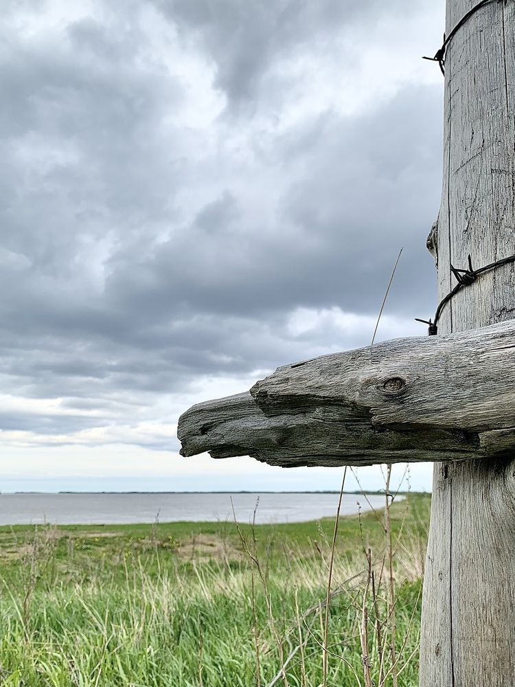 Photograph by Inna Shevchenko