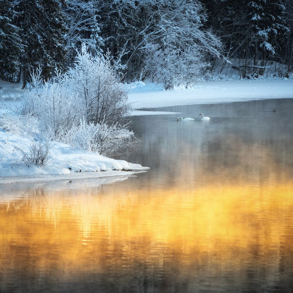 Photograph by Adrian Szatewicz