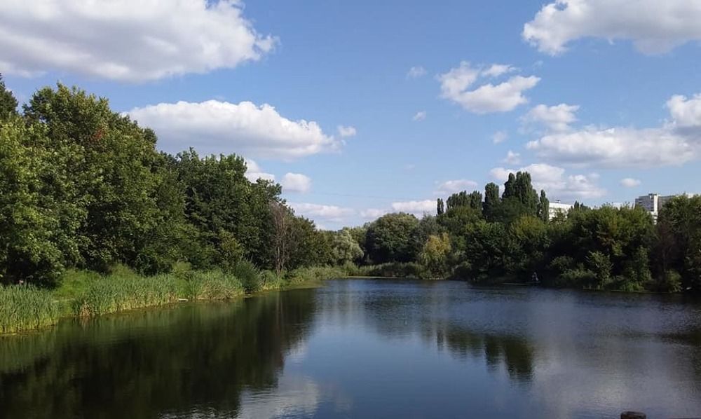 Photograph by Елена Павленко