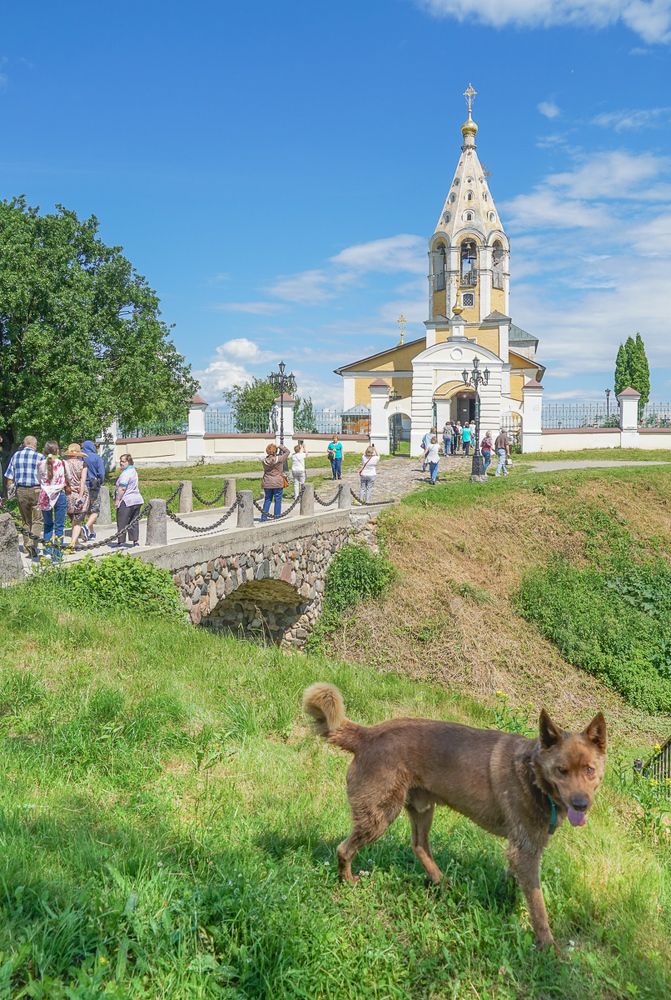 Встречаю гостей.