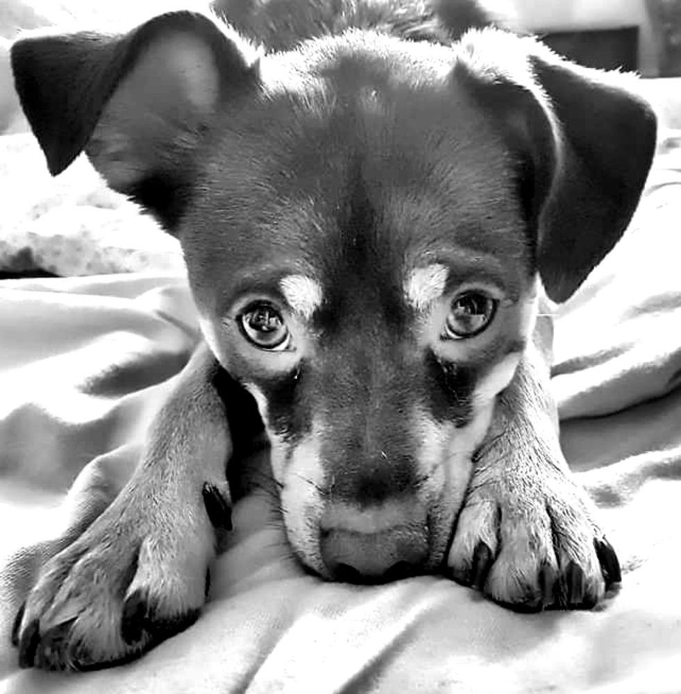 Photograph by Инга Сабанова