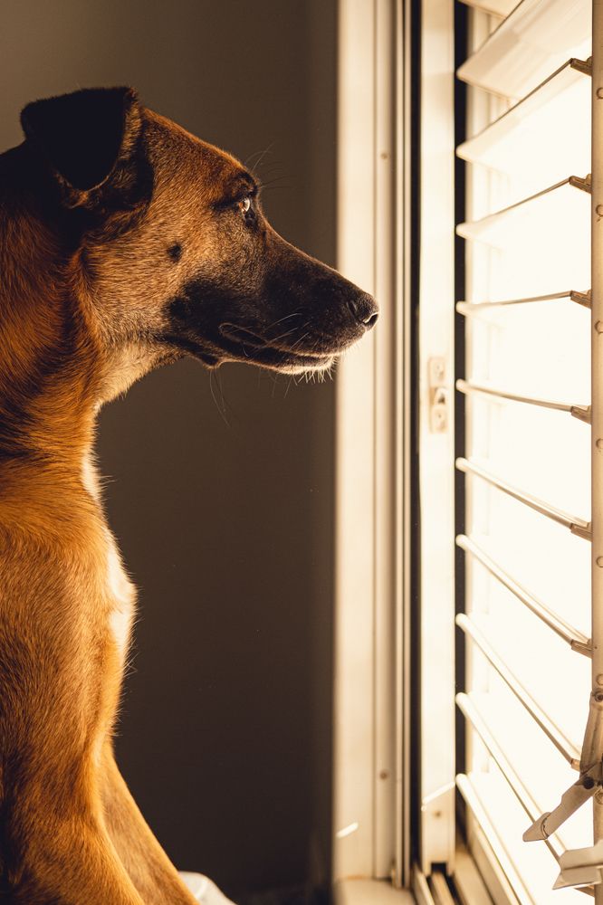 Photograph by nati torjman