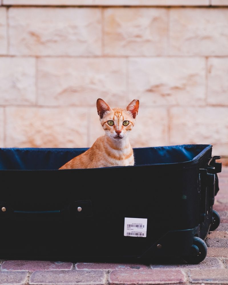 Photograph by nati torjman