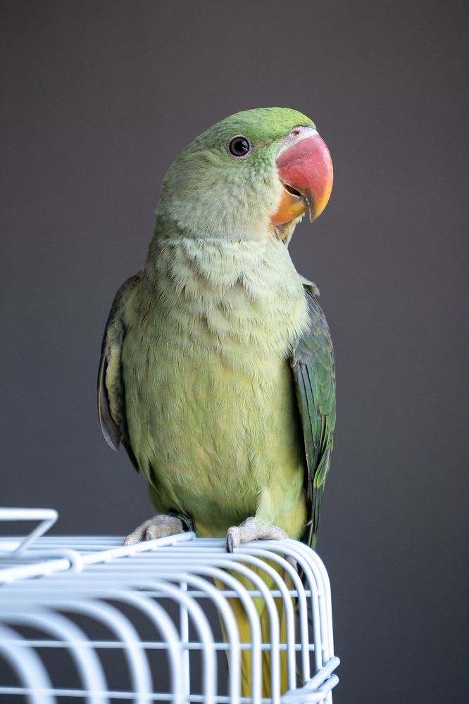 Photograph by nati torjman