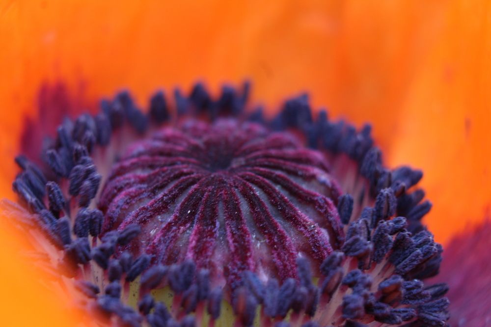 Photograph by Татьяна Фоевцева