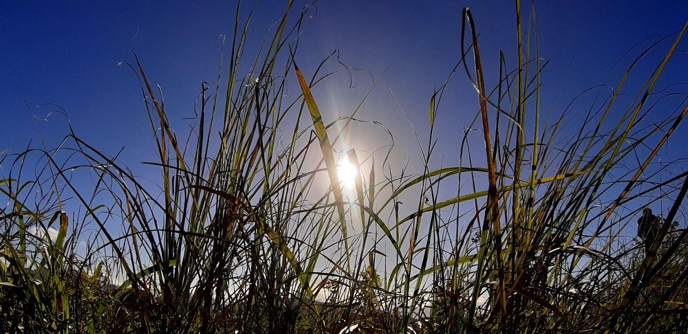 Фотография автора Paul Anton Mahinay