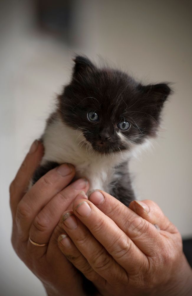 Photograph by Ala Botnarescu