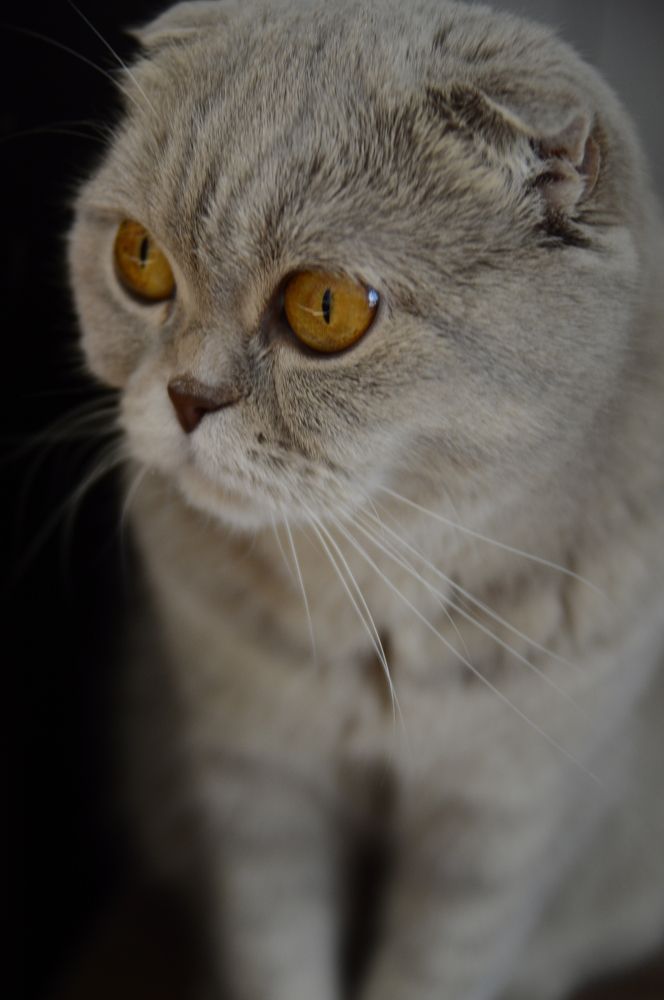 Photograph by Сергей Кривоносов