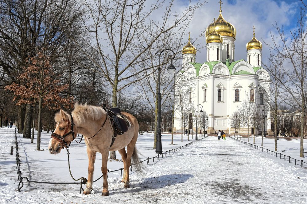 Photograph by Надежда Буаллаг