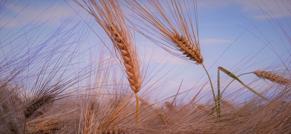 Фотография автора Михаил Лупина